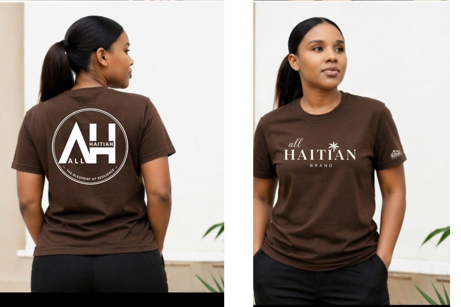 All Haitian Brand Tee in Brown